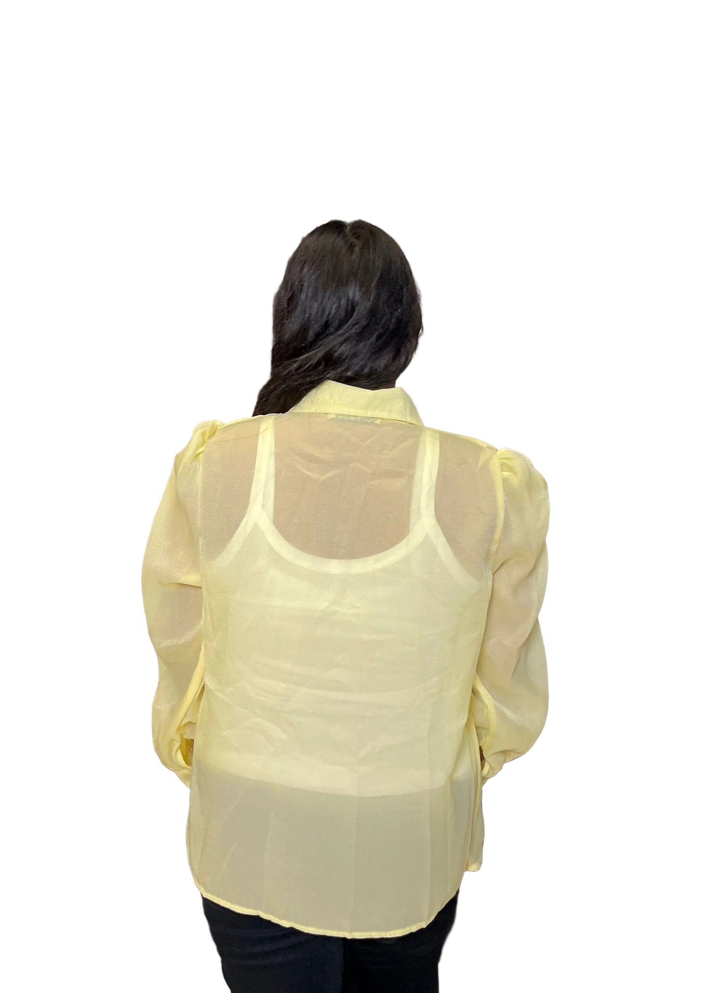 Chic Elegance Shirt